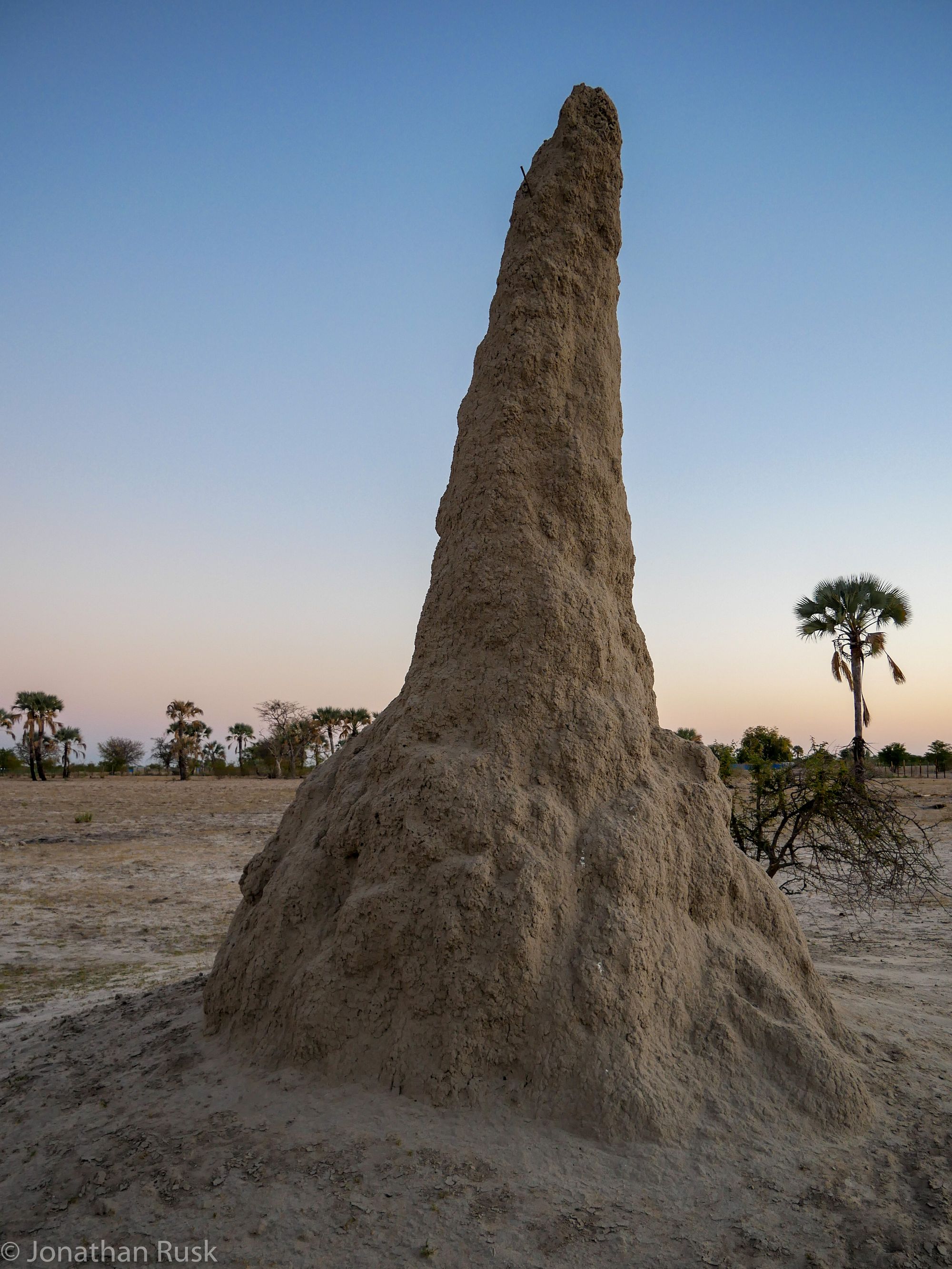 Termite mounds in Ovamboland